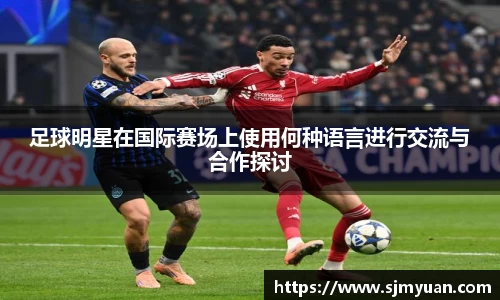 足球明星在国际赛场上使用何种语言进行交流与合作探讨